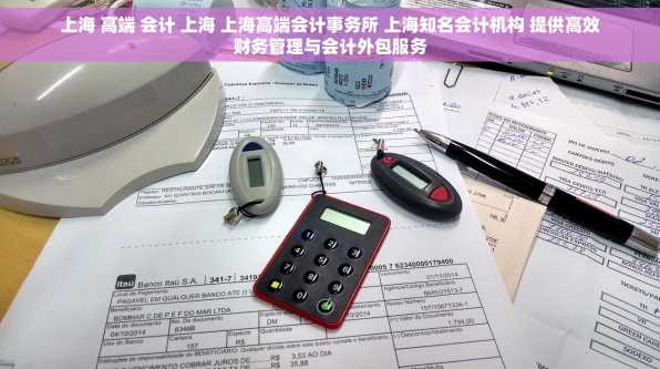 上海 高端 会计 上海 上海高端会计事务所 上海知名会计机构 提供高效财务管理与会计外包服务