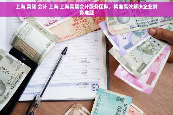 上海 高端 会计 上海 上海高端会计服务团队，精准高效解决企业财务难题