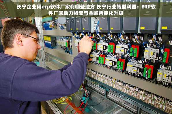 长宁企业用erp软件厂家有哪些地方 长宁行业转型利器：ERP软件厂家助力物流与金融智能化升级