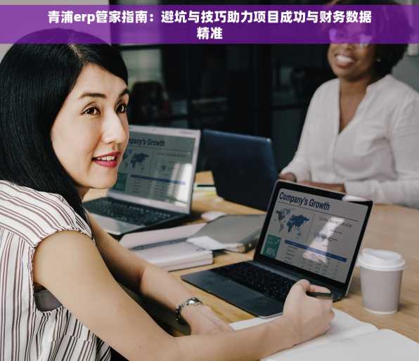 青浦erp管家指南：避坑与技巧助力项目成功与财务数据精准