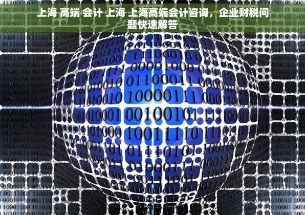 上海 高端 会计 上海 上海高端会计咨询，企业财税问题快速解答