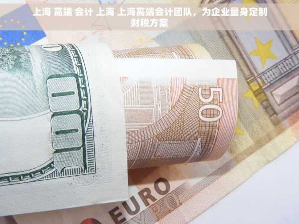 上海 高端 会计 上海 上海高端会计团队，为企业量身定制财税方案