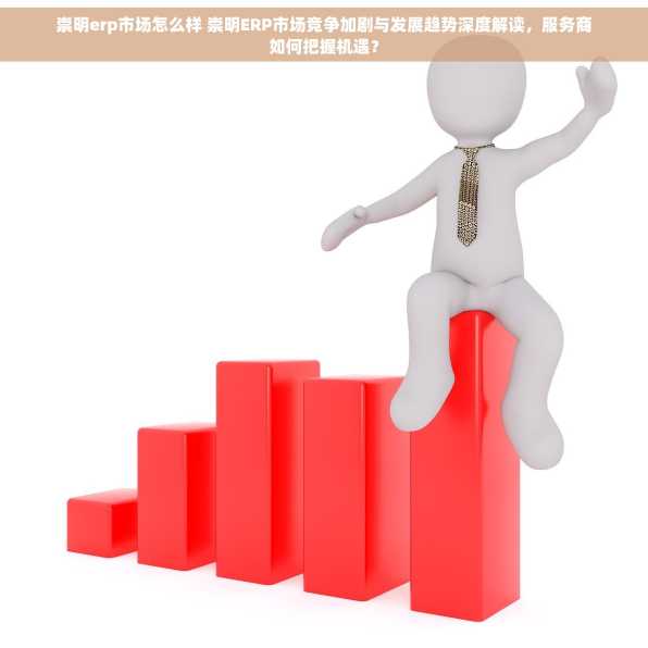 崇明erp市场怎么样 崇明ERP市场竞争加剧与发展趋势深度解读，服务商如何把握机遇？