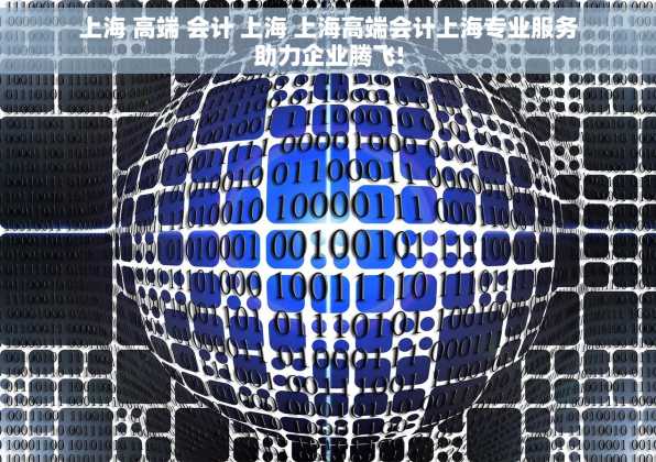 上海 高端 会计 上海 上海高端会计上海专业服务助力企业腾飞!