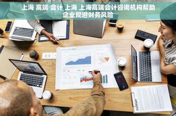 上海 高端 会计 上海 上海高端会计咨询机构帮助企业规避财务风险
