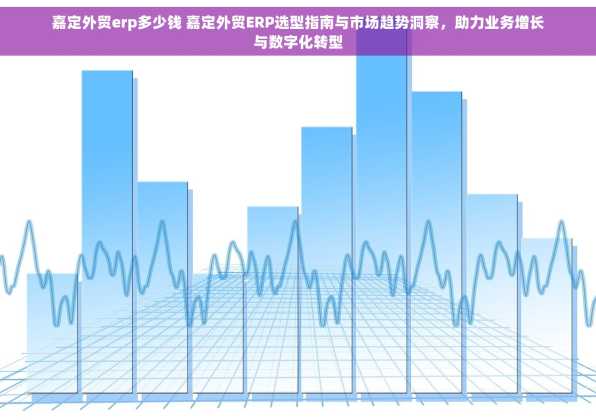嘉定外贸erp多少钱 嘉定外贸ERP选型指南与市场趋势洞察，助力业务增长与数字化转型