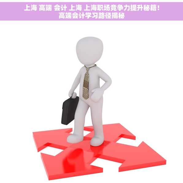 上海 高端 会计 上海 上海职场竞争力提升秘籍！高端会计学习路径揭秘