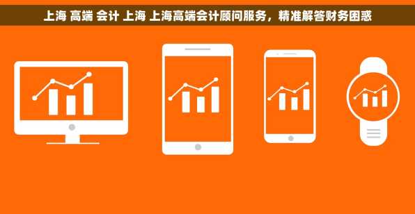 上海 高端 会计 上海 上海高端会计顾问服务，精准解答财务困惑