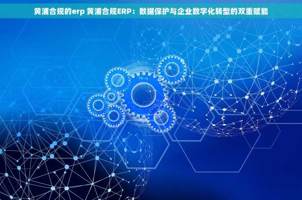 黄浦合规的erp 黄浦合规ERP：数据保护与企业数字化转型的双重赋能