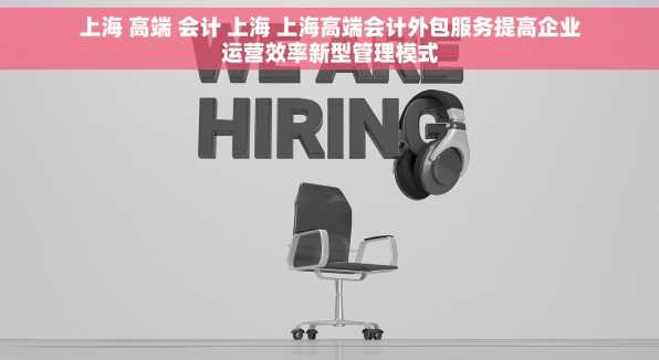 上海 高端 会计 上海 上海高端会计外包服务提高企业运营效率新型管理模式