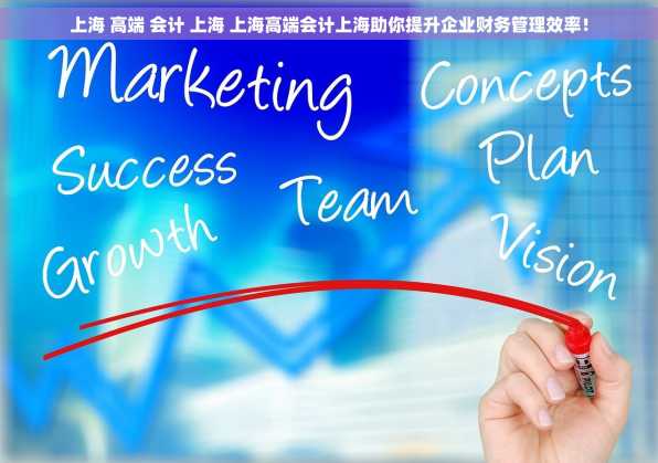 上海 高端 会计 上海 上海高端会计上海助你提升企业财务管理效率！