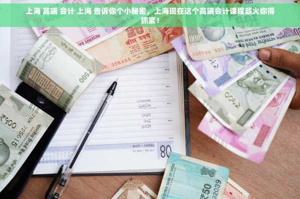 上海 高端 会计 上海 告诉你个小秘密，上海现在这个高端会计课程超火你得抓紧！