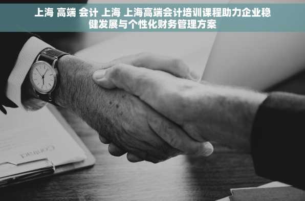 上海 高端 会计 上海 上海高端会计培训课程助力企业稳健发展与个性化财务管理方案