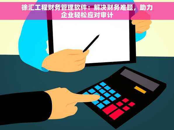 徐汇工程财务管理软件：解决财务难题，助力企业轻松应对审计