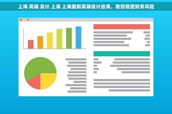 上海 高端 会计 上海 上海最新高端会计咨询，助您规避财务风险
