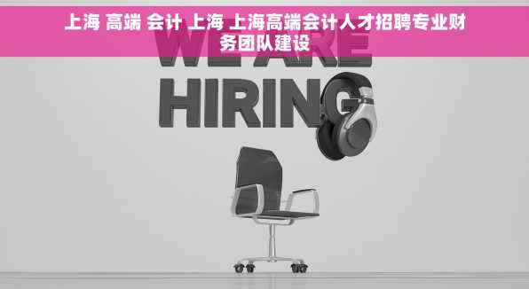 上海 高端 会计 上海 上海高端会计人才招聘专业财务团队建设