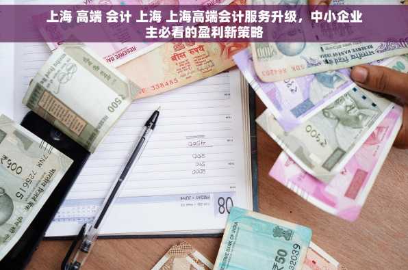 上海 高端 会计 上海 上海高端会计服务升级，中小企业主必看的盈利新策略