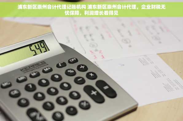 浦东新区崇州会计代理记账机构 浦东新区崇州会计代理，企业财税无忧保障，利润增长看得见
