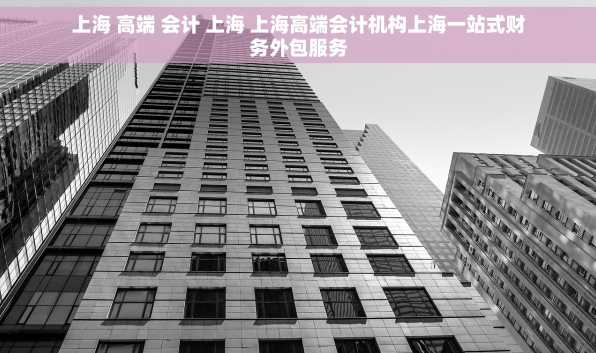 上海 高端 会计 上海 上海高端会计机构上海一站式财务外包服务