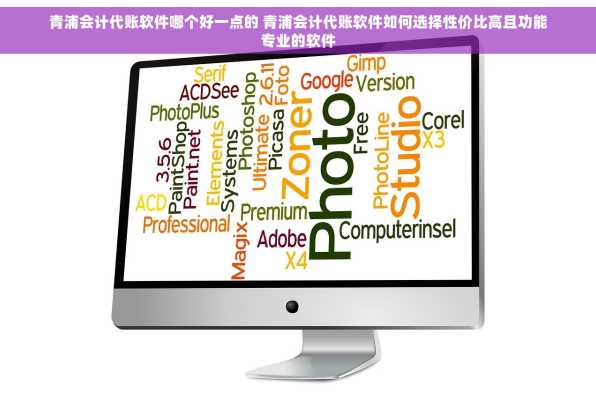 青浦会计代账软件哪个好一点的 青浦会计代账软件如何选择性价比高且功能专业的软件