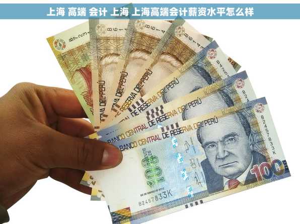 上海 高端 会计 上海 上海高端会计薪资水平怎么样
