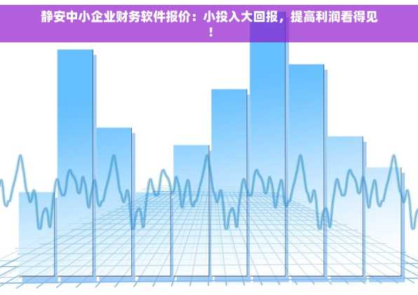 静安中小企业财务软件报价：小投入大回报，提高利润看得见！