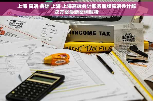 上海 高端 会计 上海 上海高端会计服务品牌高端会计解决方案最新案例解析