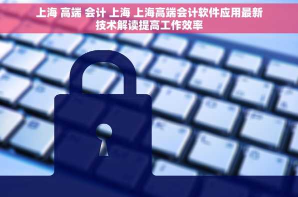 上海 高端 会计 上海 上海高端会计软件应用最新技术解读提高工作效率