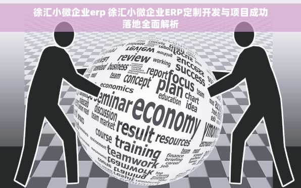 徐汇小微企业erp 徐汇小微企业ERP定制开发与项目成功落地全面解析