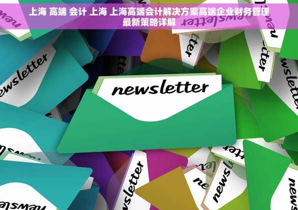 上海 高端 会计 上海 上海高端会计解决方案高端企业财务管理最新策略详解