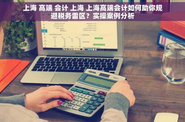 上海 高端 会计 上海 上海高端会计如何助你规避税务雷区？实操案例分析