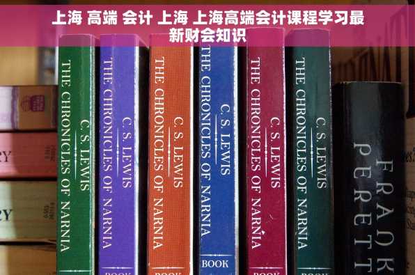 上海 高端 会计 上海 上海高端会计课程学习最新财会知识