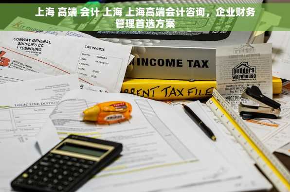 上海 高端 会计 上海 上海高端会计咨询，企业财务管理首选方案