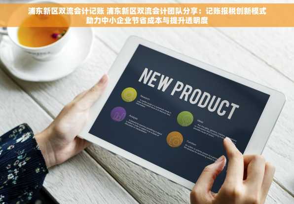 浦东新区双流会计记账 浦东新区双流会计团队分享：记账报税创新模式助力中小企业节省成本与提升透明度