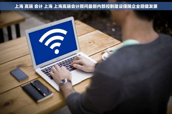上海 高端 会计 上海 上海高端会计顾问最新内部控制建设保障企业稳健发展