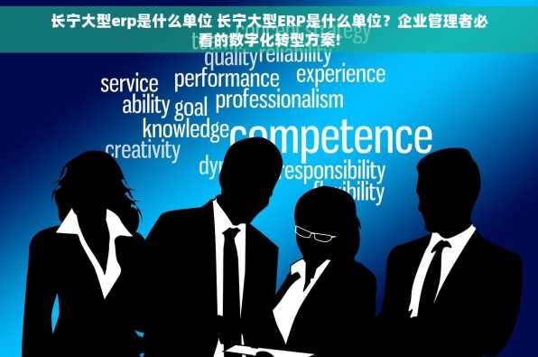 长宁大型erp是什么单位 长宁大型ERP是什么单位？企业管理者必看的数字化转型方案!