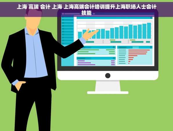 上海 高端 会计 上海 上海高端会计培训提升上海职场人士会计技能