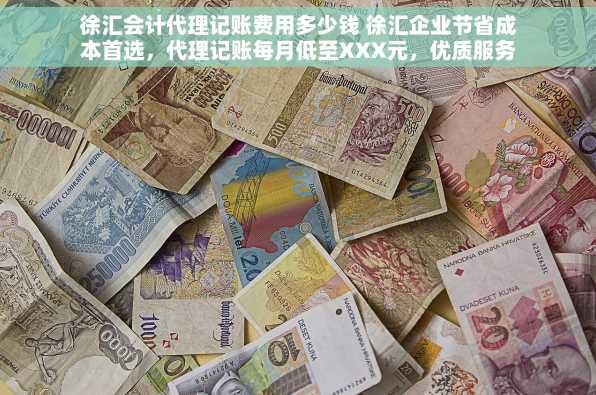 徐汇会计代理记账费用多少钱 徐汇企业节省成本首选，代理记账每月低至XXX元，优质服务让您无忧发展！