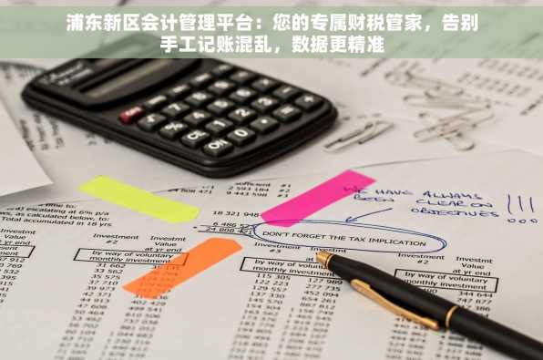 浦东新区会计管理平台：您的专属财税管家，告别手工记账混乱，数据更精准