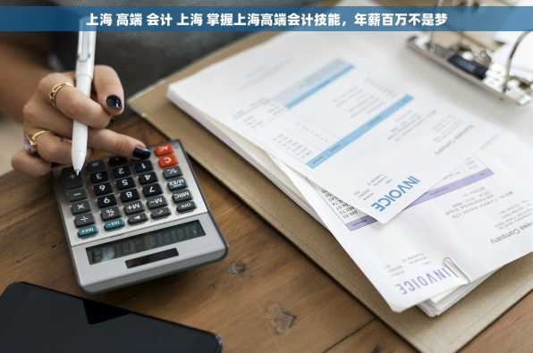 上海 高端 会计 上海 掌握上海高端会计技能，年薪百万不是梦