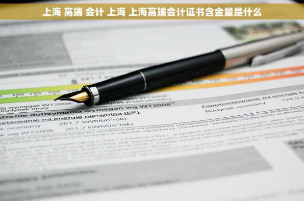 上海 高端 会计 上海 上海高端会计证书含金量是什么