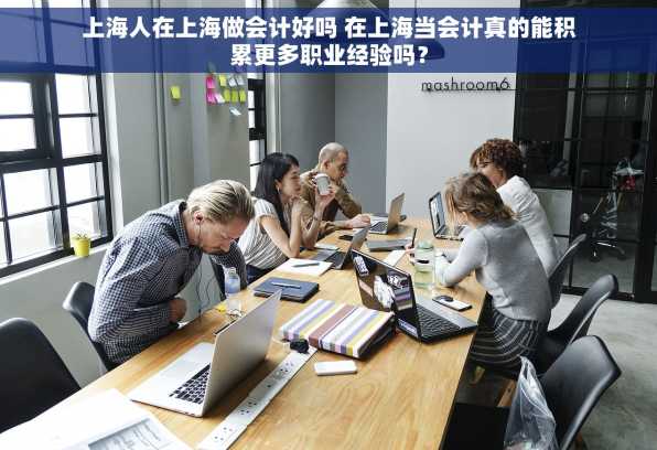 上海人在上海做会计好吗 在上海当会计真的能积累更多职业经验吗？
