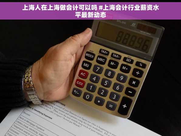 上海人在上海做会计可以吗 #上海会计行业薪资水平最新动态