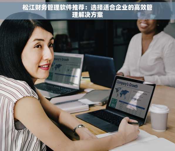 松江财务管理软件推荐：选择适合企业的高效管理解决方案