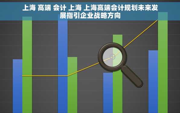 上海 高端 会计 上海 上海高端会计规划未来发展指引企业战略方向