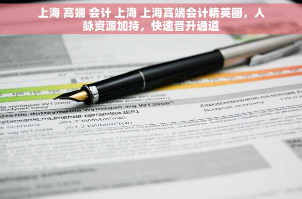 上海 高端 会计 上海 上海高端会计精英圈，人脉资源加持，快速晋升通道