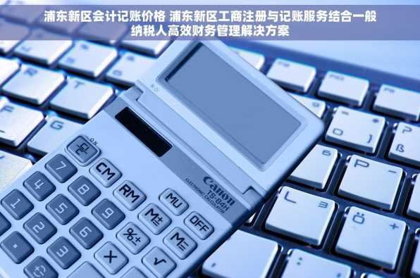 浦东新区会计记账价格 浦东新区工商注册与记账服务结合一般纳税人高效财务管理解决方案