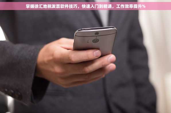 掌握徐汇地税发票软件技巧，快速入门到精通，工作效率提升%