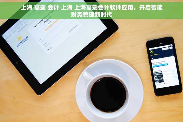 上海 高端 会计 上海 上海高端会计软件应用，开启智能财务管理新时代