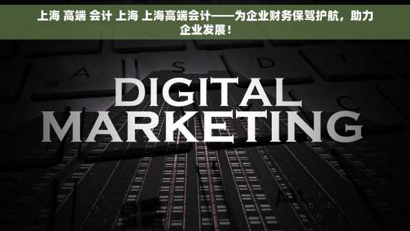 上海 高端 会计 上海 上海高端会计——为企业财务保驾护航，助力企业发展！